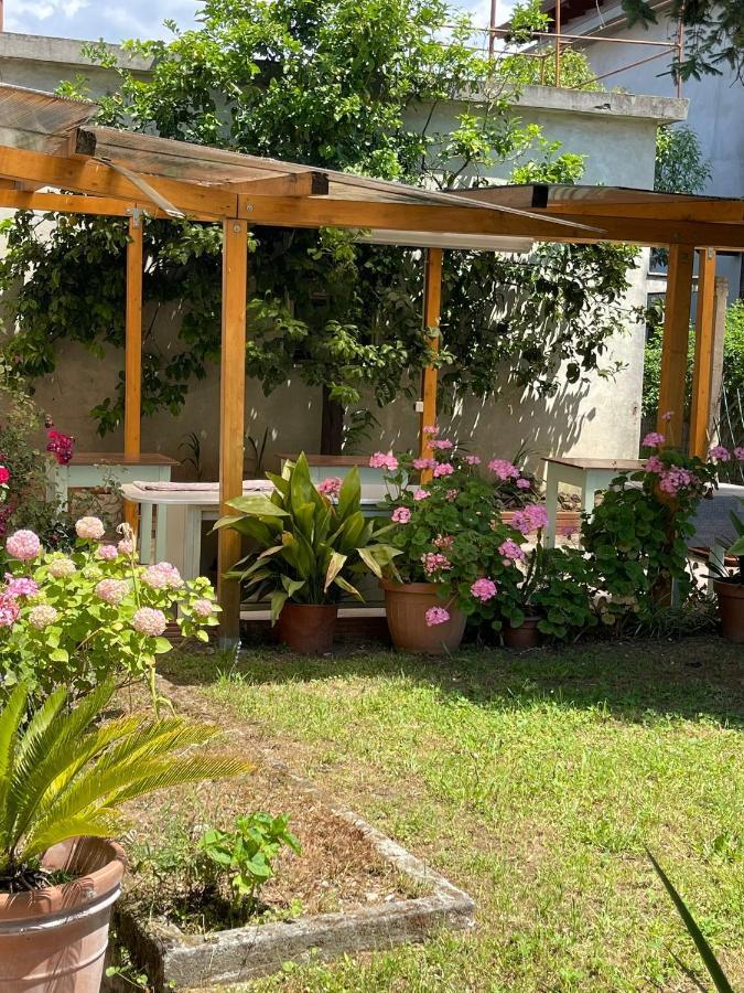 Casa Violetta Bed & Breakfast Marina di Massa Luaran gambar